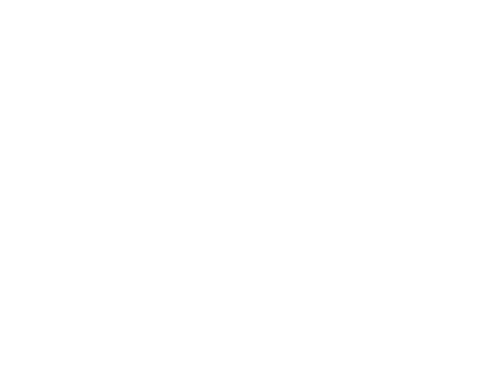 NXT Wear